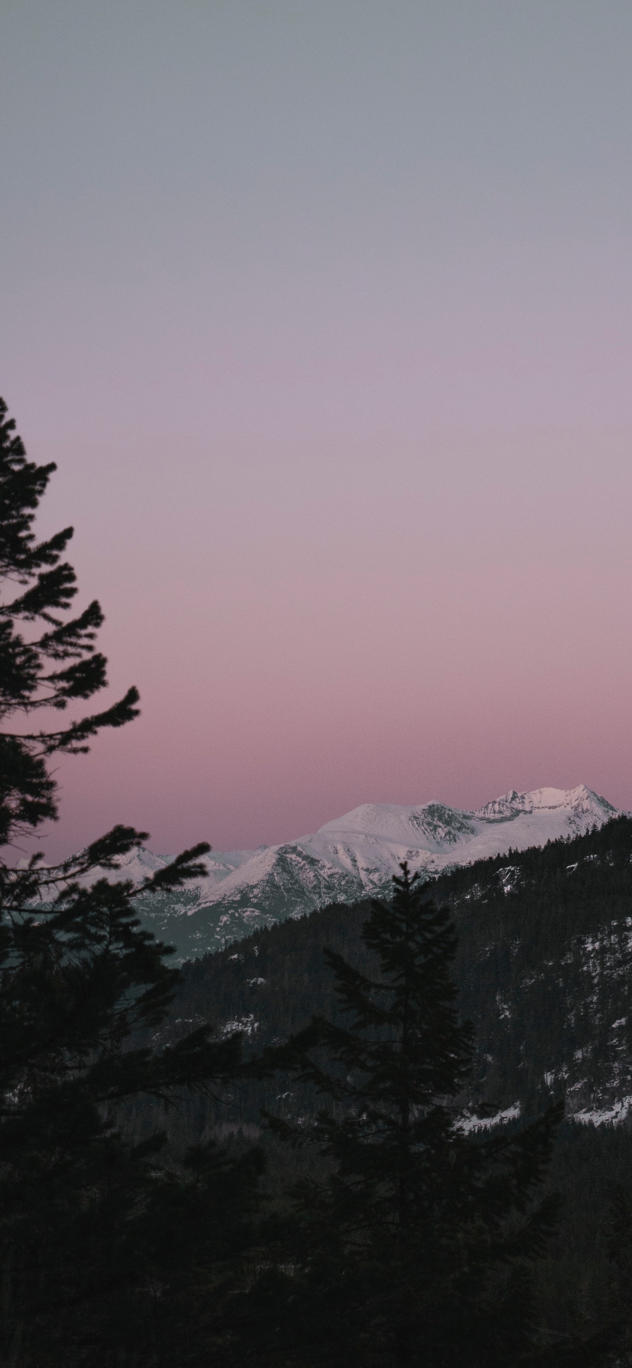 Обои небо, пустыня, видео, закат, дикая местность в разрешении 1242x2688