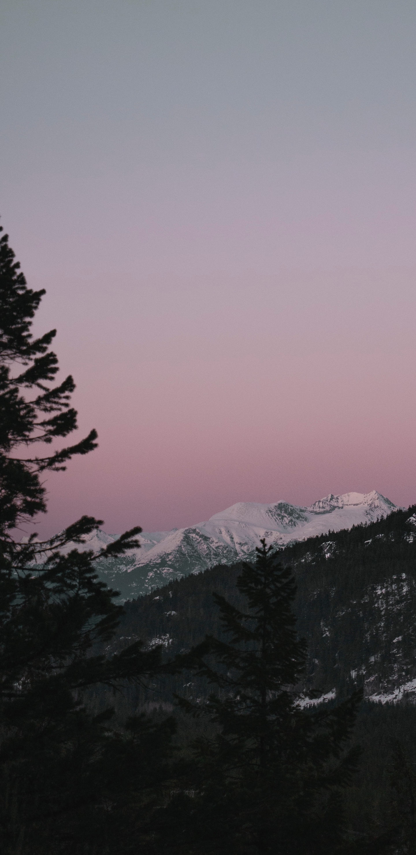 Обои небо, пустыня, видео, закат, дикая местность в разрешении 1440x2960