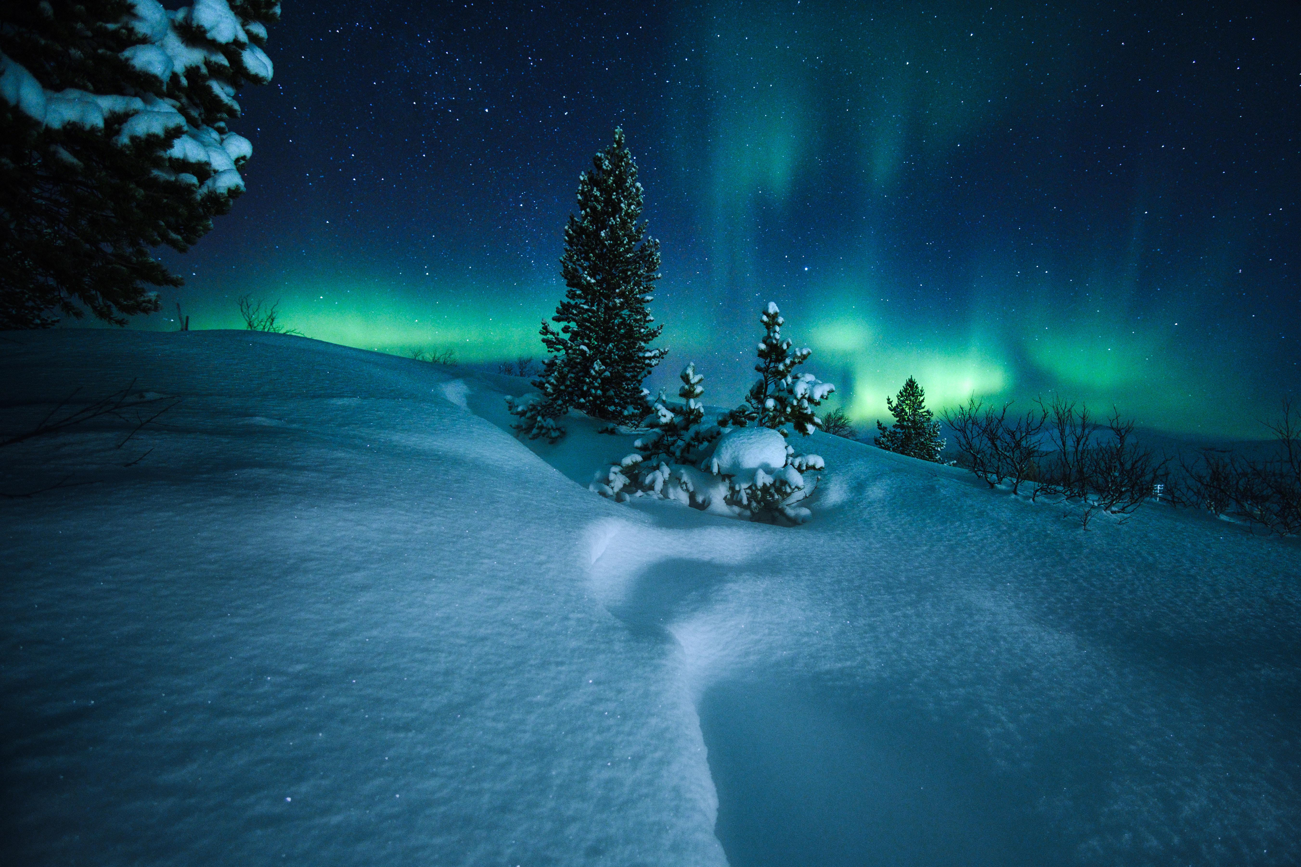 Картинка Зима Природа Фото Картинка Зима Природа Фото