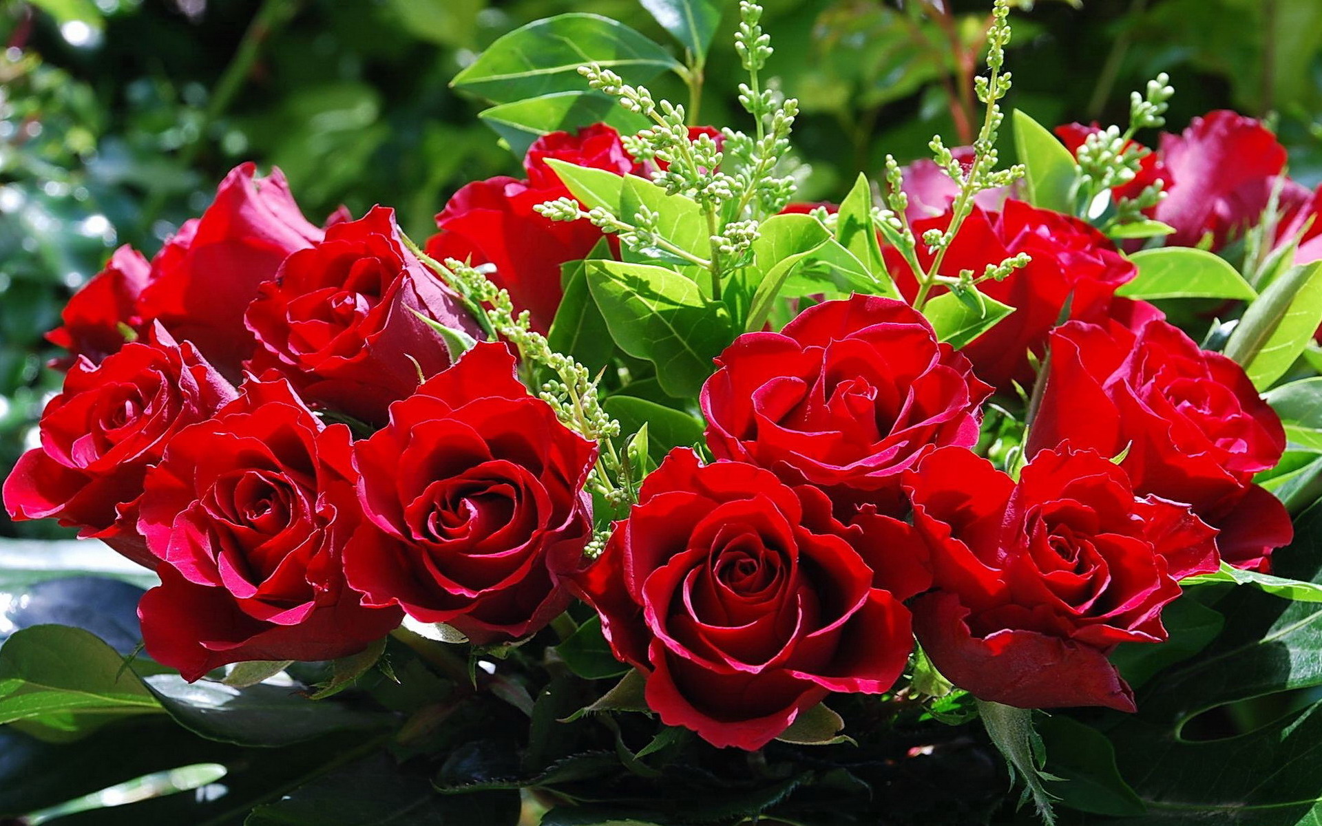 С праздником самая лучшая и самая красивая. Роскошные цветы. Красивые розы. Шикарные цветы.