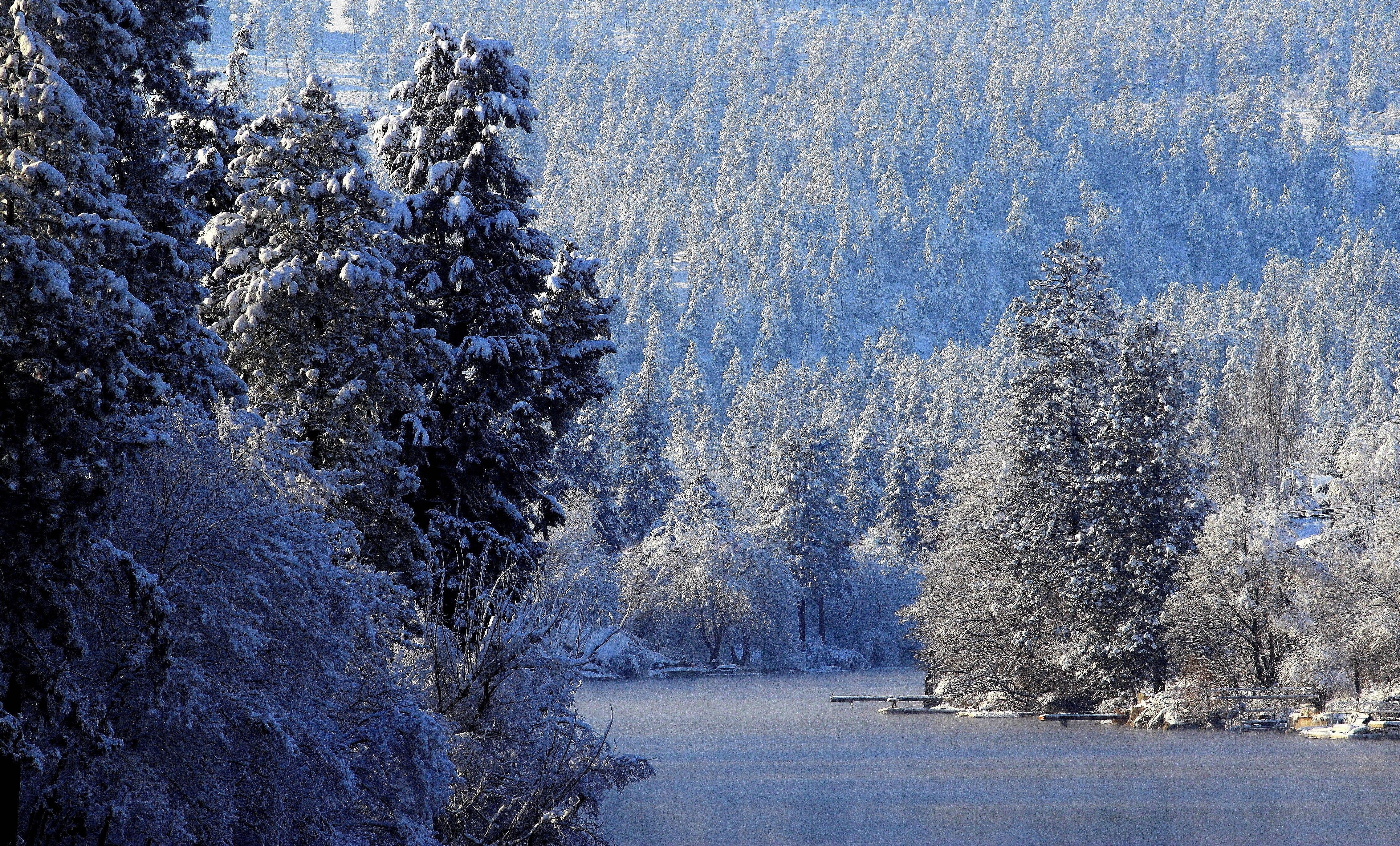 Звуки природы зимой. Зимняя природа. Зимний лес. Красота природы зимой. Пейзаж зимнего леса.