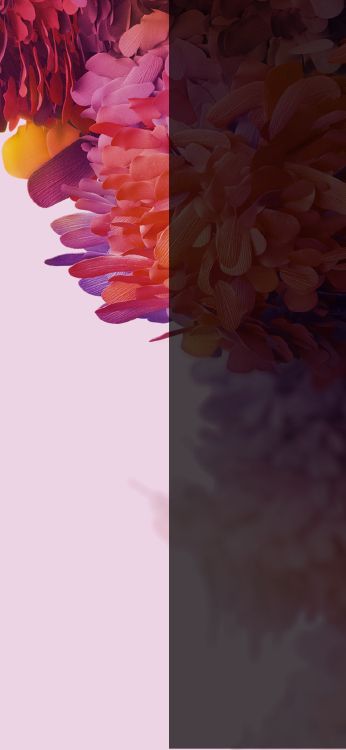 Обои apple, iPhone, iOS 14, iOS 14 DUAL, яблоко в разрешении 1125x2436