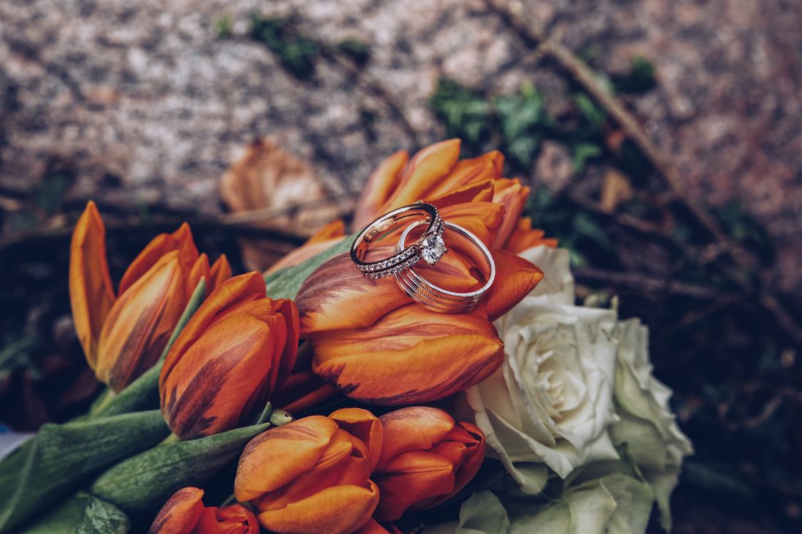Обои кольцо, цветочный букет, свадьба, цветок, обручальное кольцо в разрешении 4032x2688