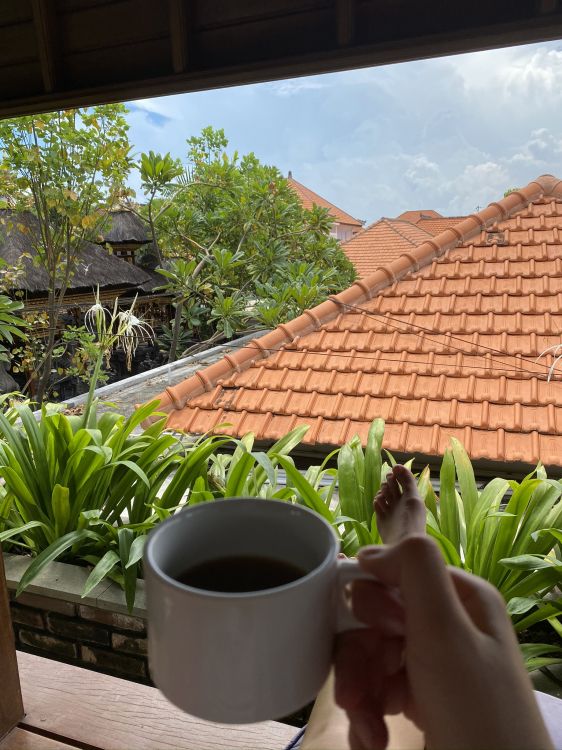 Обои крыша, пальмовые рощи, очки, чашка, природа в разрешении 1536x2048