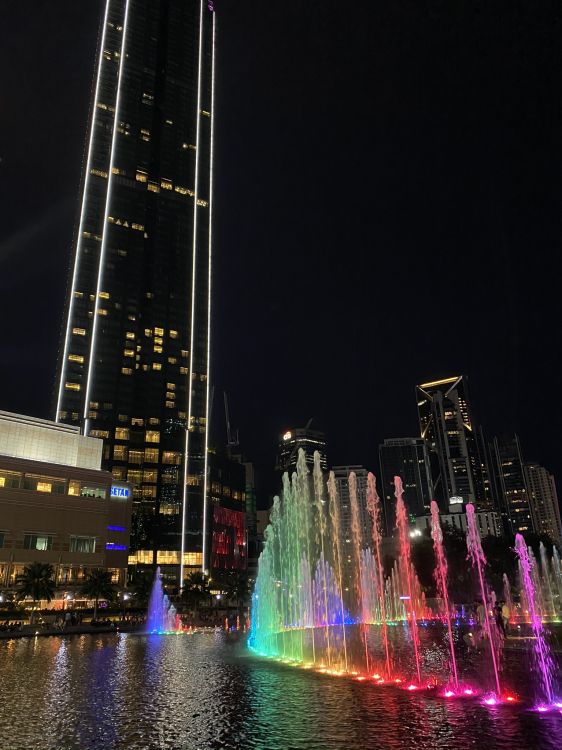 Обои отражение, вода, водоем, ночь, природа в разрешении 1536x2048