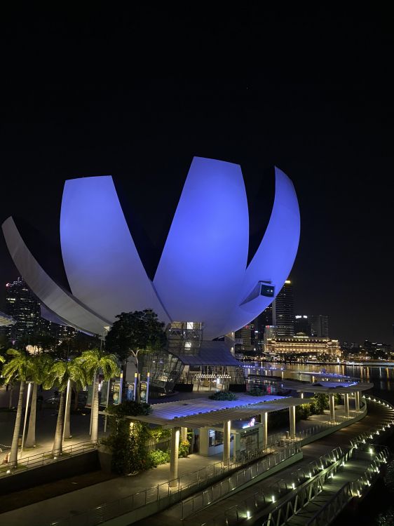 Обои Сингапур, отражение, ночь, метрополия, электричество в разрешении 1536x2048