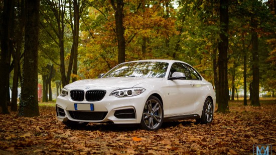 BMW �� ������� ����