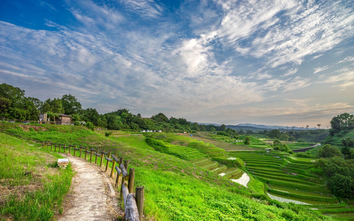 Обои Япония, природа, нагорье, сенокосное угодье, поле в разрешении 2880x1800