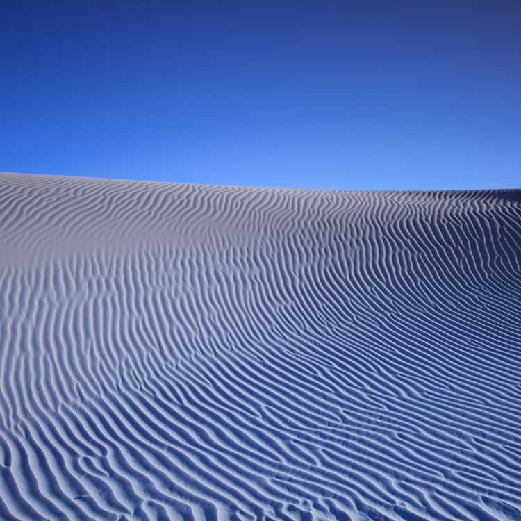 Обои песок, Дюна, линия, эрг, эолийские рельефы в разрешении 2560x2560