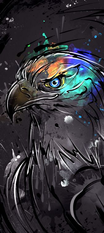 Обои Жив, птица, клюв, живопись, арт в разрешении 1080x2400