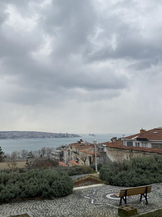 Обои облако, растение, вода, скамейка на открытом воздухе, окно в разрешении 1536x2048