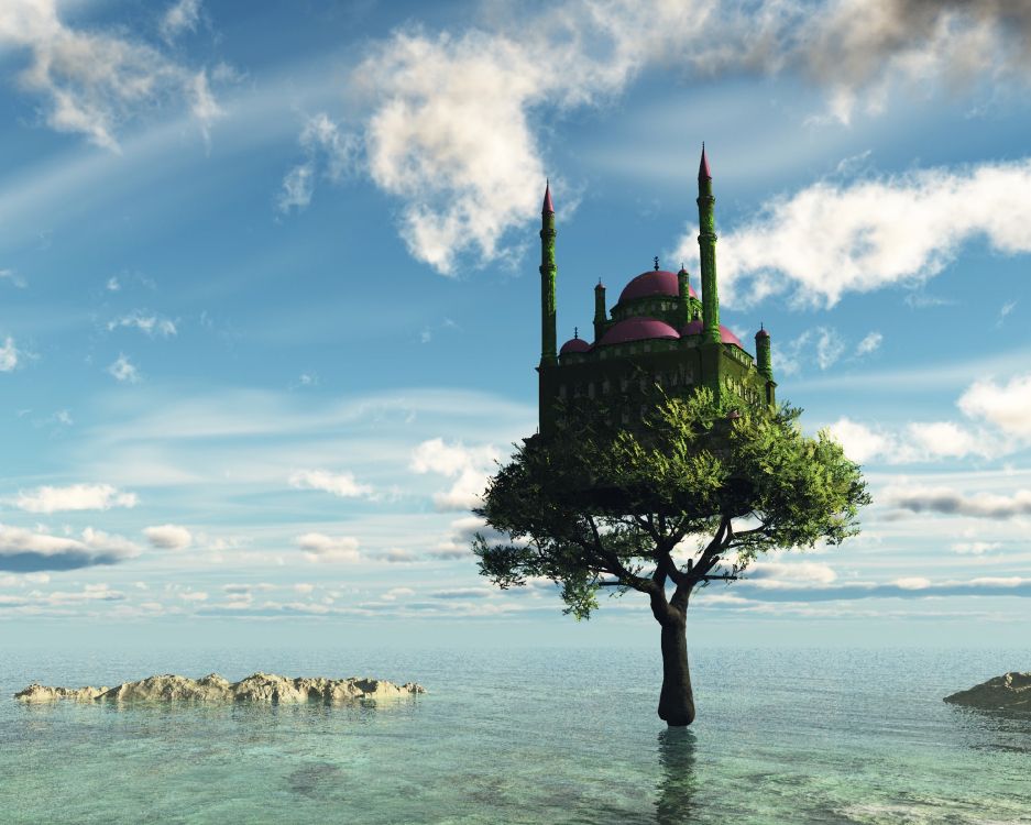 Обои дерево, море, облако, спокойный, отпуск в разрешении 3000x2400