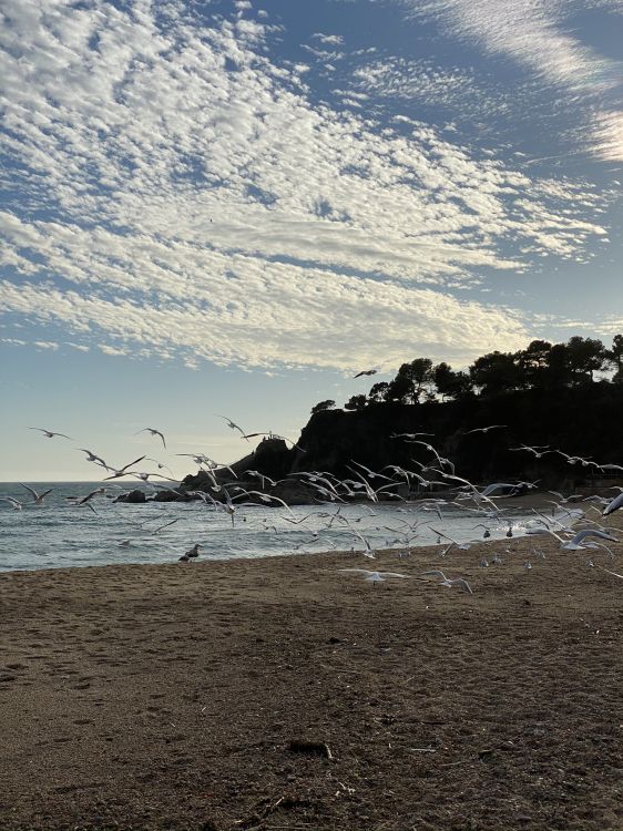 Обои море, вода, пляж, водоем, природа в разрешении 1536x2048