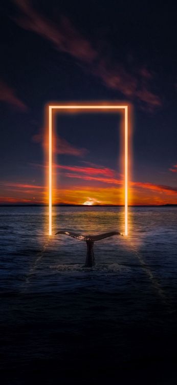 Обои горизонт, вода, облако, атмосфера, послесвечение в разрешении 1080x2340