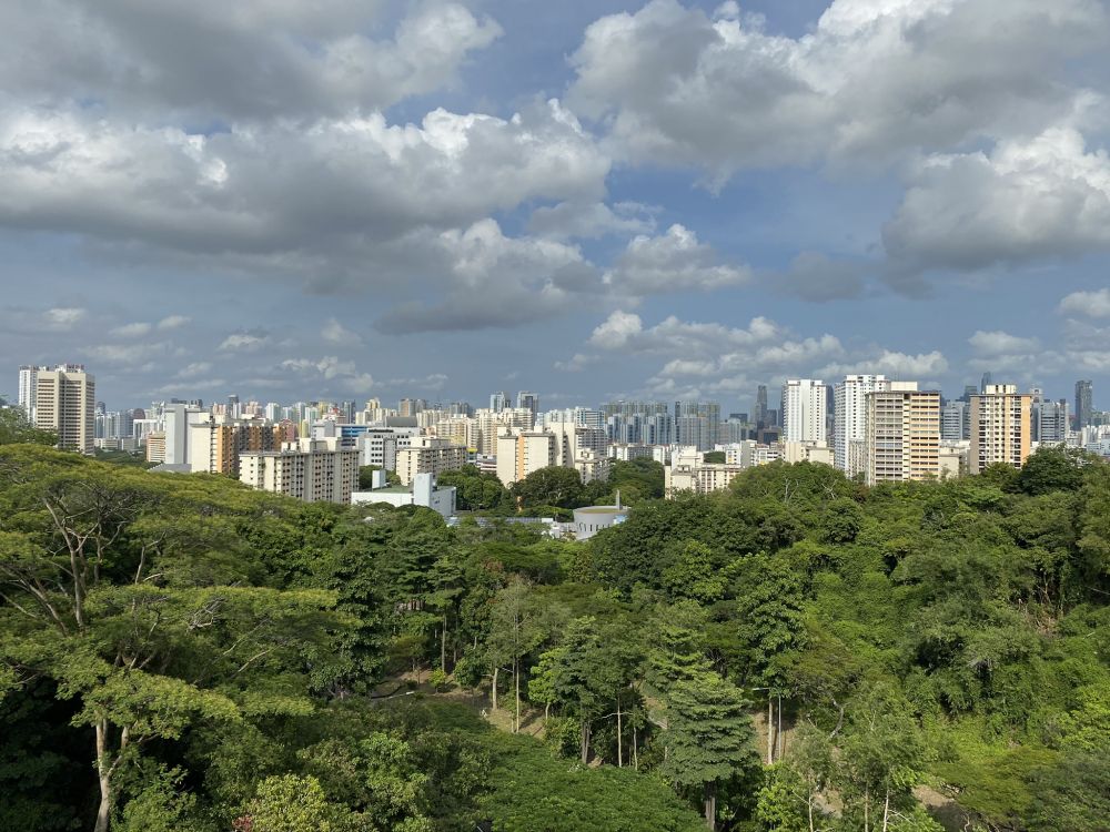 Обои ландшафтный архитектор, растительность, природа, дневное время, облако в разрешении 2048x1536