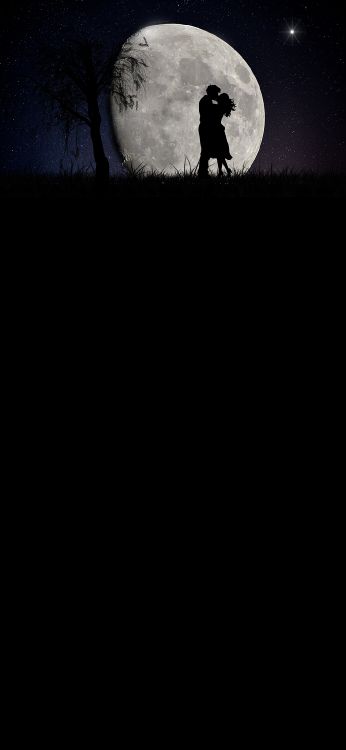 Обои луна, черный и белый, ночь, природа, человек в разрешении 1080x2340