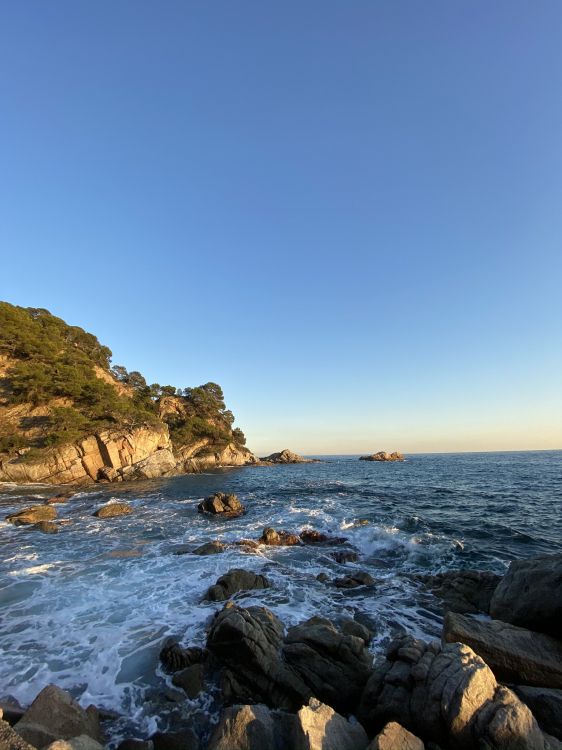 Обои море, побережье, вода, мыс, наука в разрешении 1536x2048