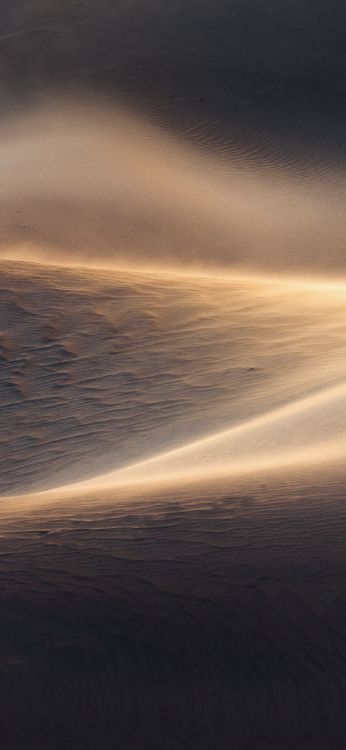 Обои Golden, sandy “Dunes” texture в разрешении 1170x2532