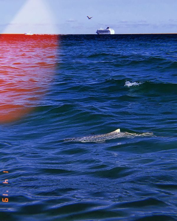 Обои море, океан, жидкость, жидкий, красочность в разрешении 2618x3272