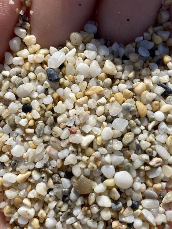 Обои булыжник, химия, наука, растение, жест в разрешении 1536x2048