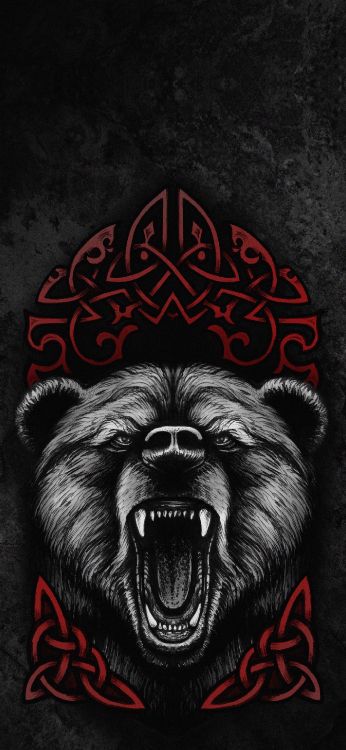 Обои постер, футболка, мужская рубашка, капюшон, рукав в разрешении 1407x3045