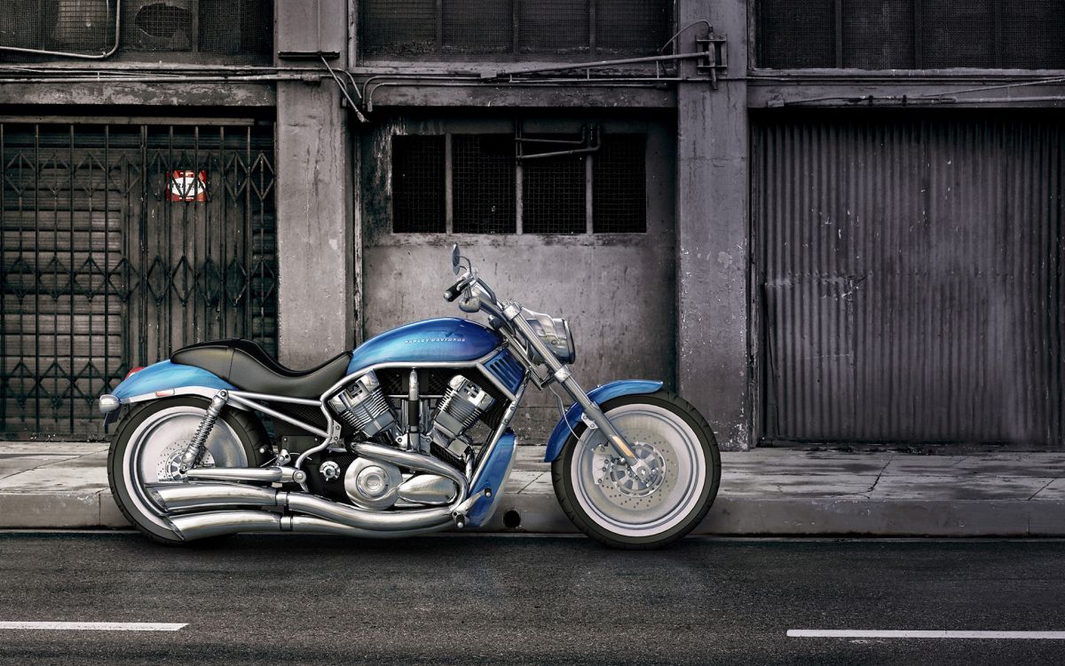 Обои harley davidson vrsc, мотоцикл, синий, авто, крейсер в разрешении 1920x1200