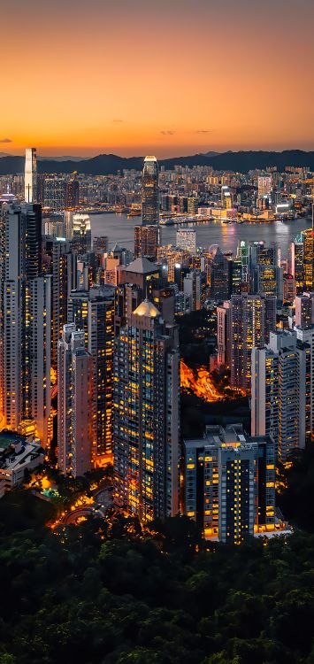 Обои небоскреб, здание, атмосфера, дневное время, свойство в разрешении 1421x3000