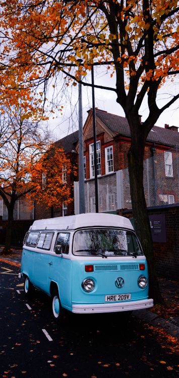 Обои дерево, панберы, день свадьбы, моя любовь, шина в разрешении 1420x3000