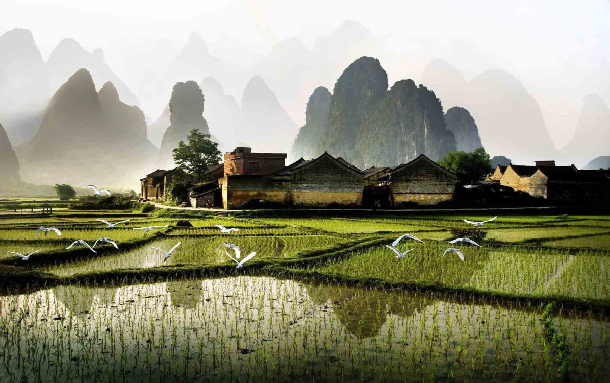 Обои Округ Яншо, путешествие, достопримечательность, природа, сельский район в разрешении 2904x1821