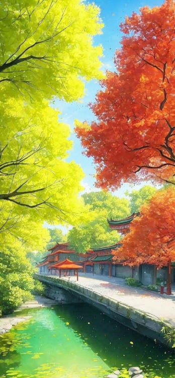 Обои кленовый лист, вода, дневное время, лист, природный ландшафт в разрешении 736x1584