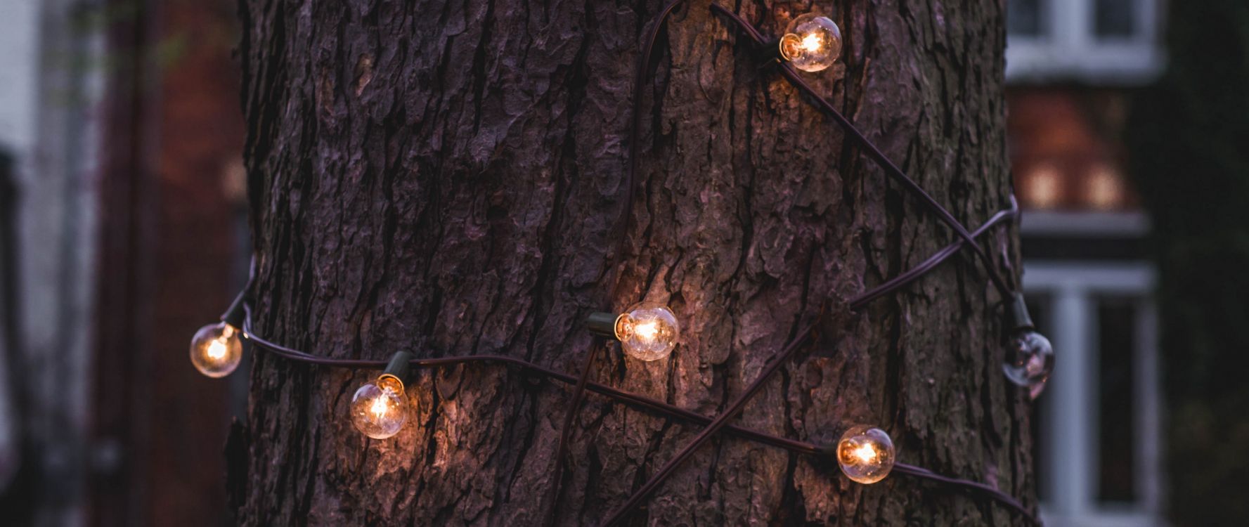 Обои освещение, Лампа накаливания, Рождественские огни, дерево, свет в разрешении 2560x1080
