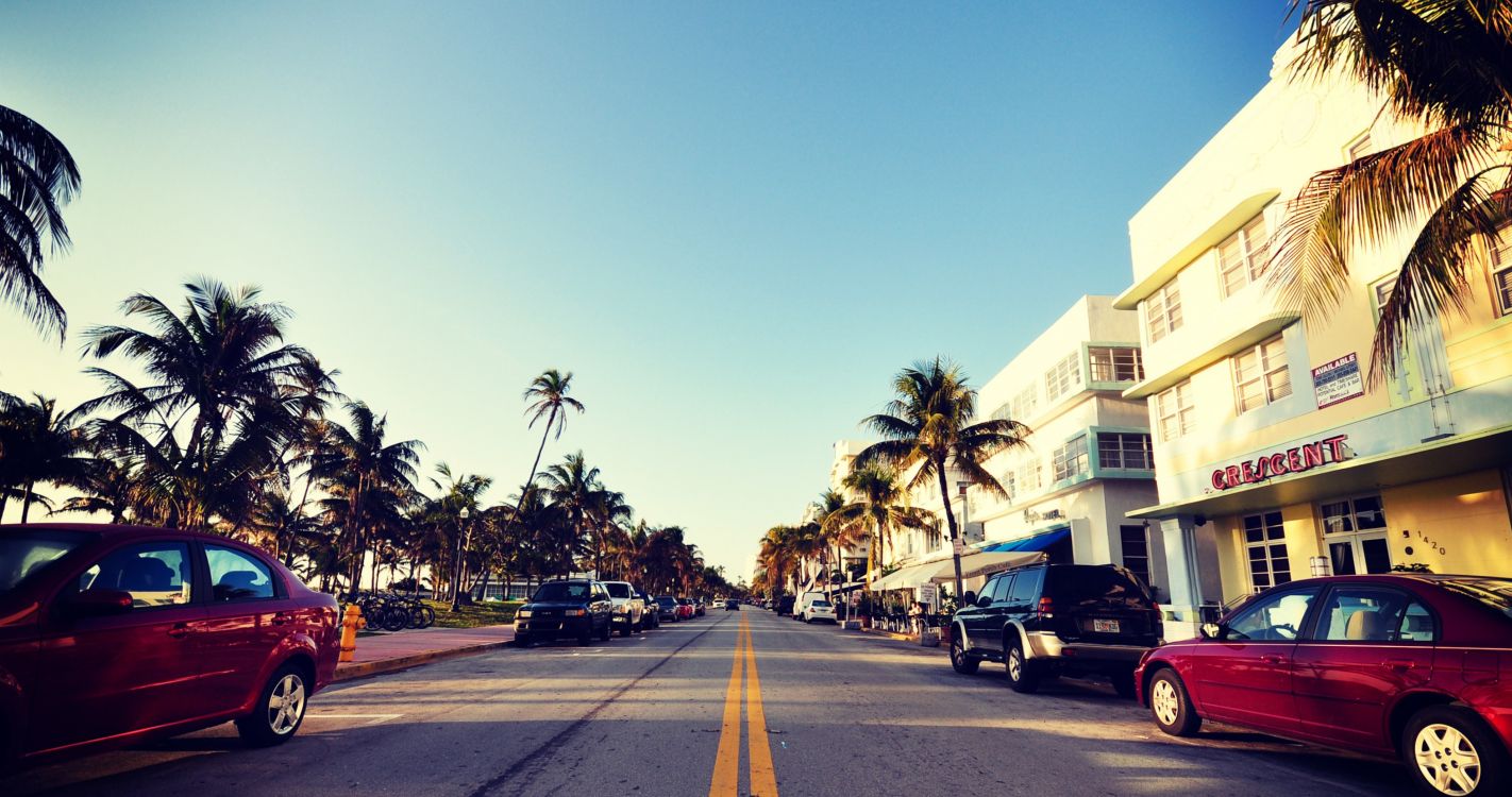 Обои Майами, городок, дерево, городской район, авто в разрешении 4096x2160