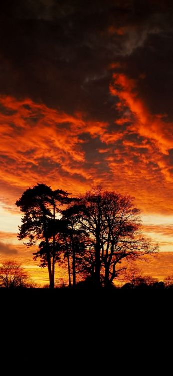 Обои силуэт, облако, атмосфера, экорегион, природный ландшафт в разрешении 1080x2340