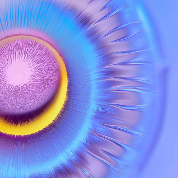 Обои Huawei, Huawei Mate, Huawei Mate 40 Pro, huawei mate 30, huawei mate 40 в разрешении 2772x2772