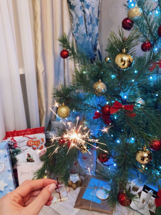 Обои Новый год, Рождество, Рождественский день, елка, пихта в разрешении 3024x4032