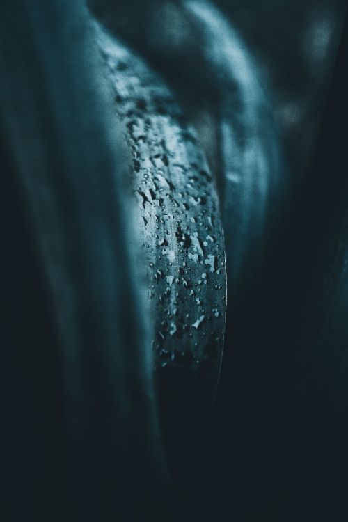 Обои синий, вода, темнота, бирюза, дерево в разрешении 3072x4608