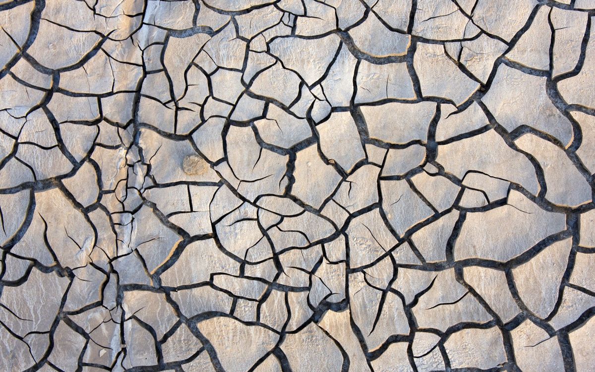 Обои засуха, узор, почва, дизайн, дорожное покрытие в разрешении 2560x1600