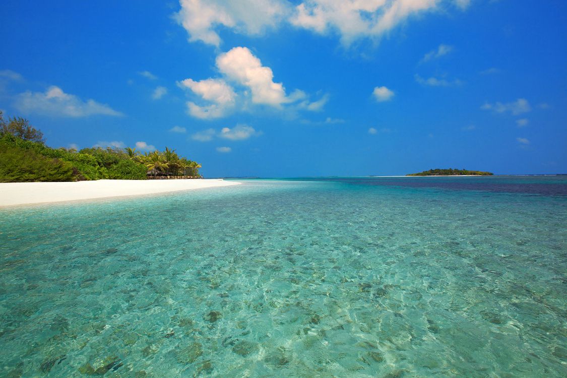 Обои пляж, море, Мальдивы, побережье, прибрежные и океанические рельефы в разрешении 5000x3333