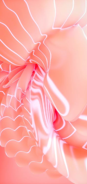 Обои цветок, математика, ткань, лепесток, рукав в разрешении 1421x3000