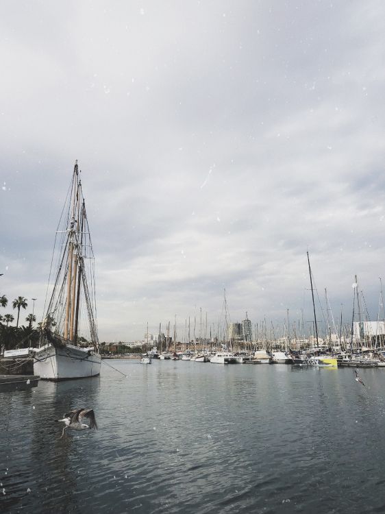 Обои Марина, мачта, лодка, парусная шлюпка, вода в разрешении 3024x4032