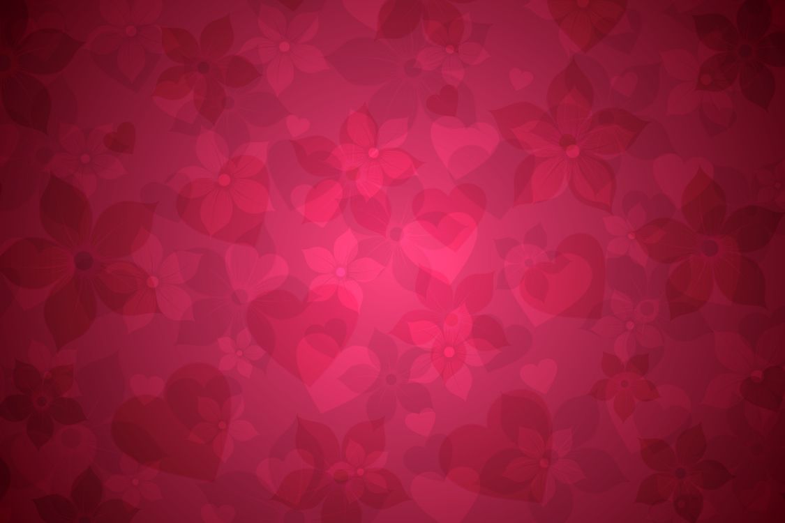 Обои текстура, розовый, красный цвет, пурпурный цвет, бордовые в разрешении 6000x4000