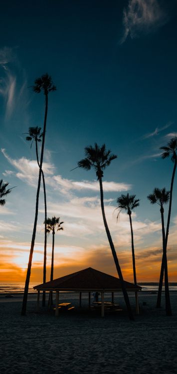 Обои роскошный агорис, Шазам, спотифай, потоковое мультимедиа, облако в разрешении 1420x3000