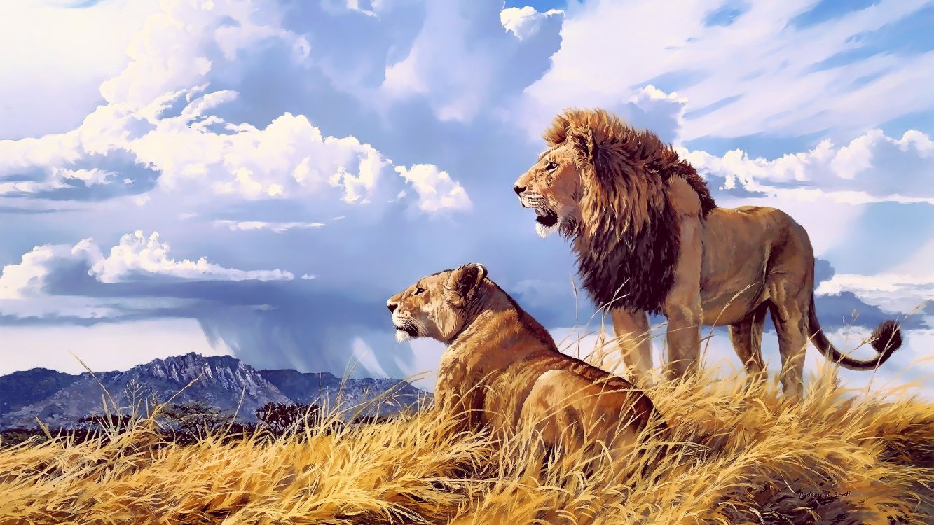 Обои Лев, большая кошка, тигр, масаи Лев, живая природа в разрешении 3840x2160