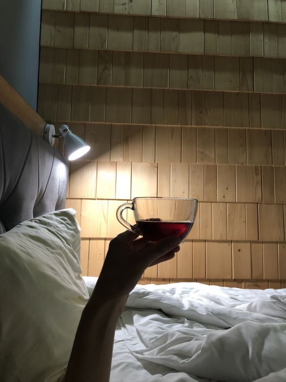 Обои свет, окно, бокал для вина, вино, рюмки в разрешении 1536x2048