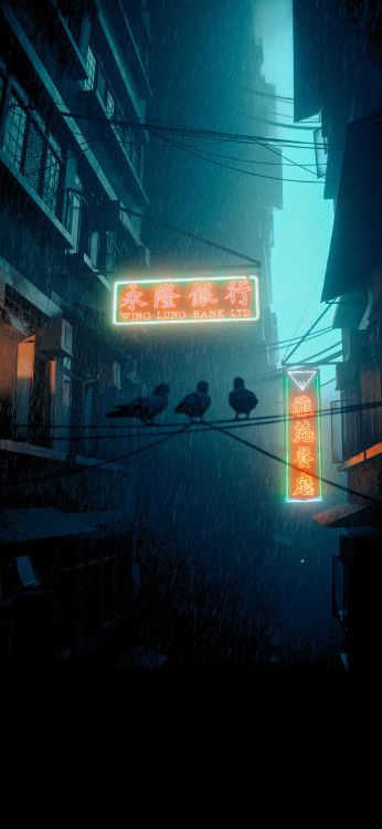 Обои темнота, постер, здание, окно, автомобильное освещение в разрешении 1800x3900