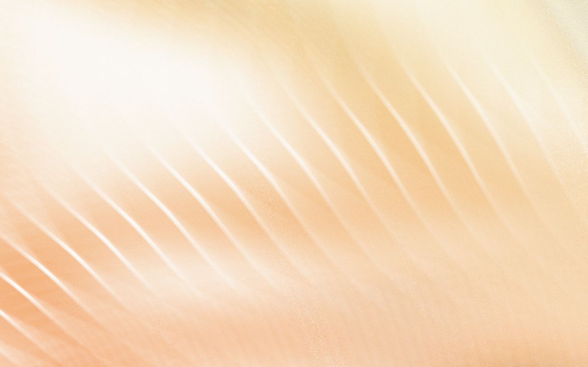 Обои крупный план, свет, цвет беж, линия, солнечный свет в разрешении 3200x2000