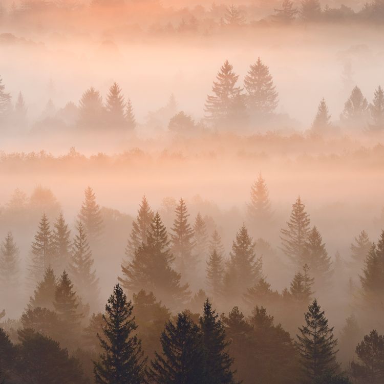 Обои Nokia C31 4 ГБ 64 ГБ 6 7 две SIM-карты, Nokia, нокиа 5300, смартфон, дымка в разрешении 1760x1760