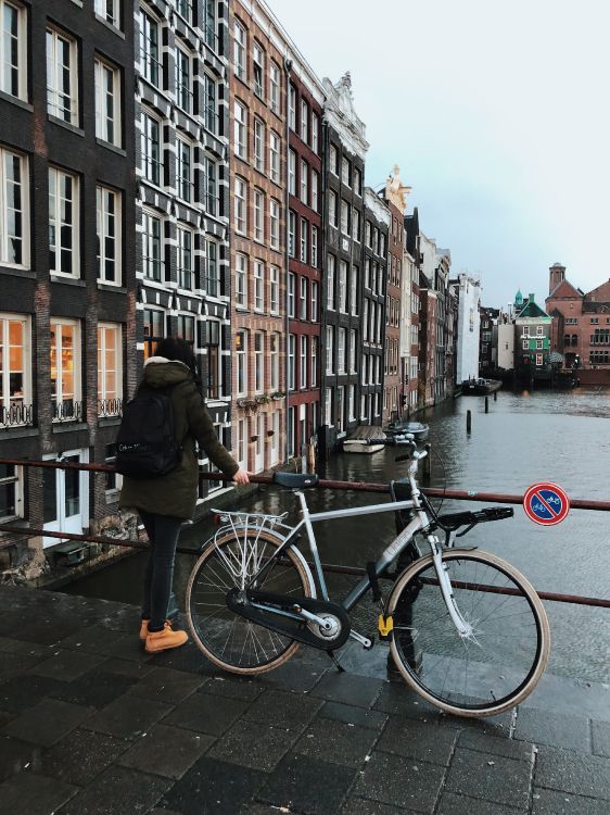 Обои Амстердам, дорожный велосипед, велосипед, велосипедная шина, велосипедная рама в разрешении 3024x4032