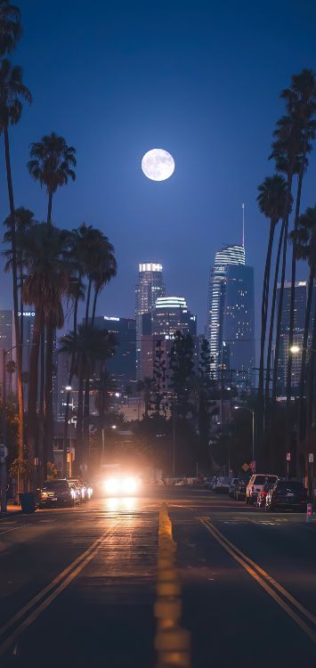 Обои небоскреб, здание, архитектура, атмосфера, дневное время в разрешении 1420x3000