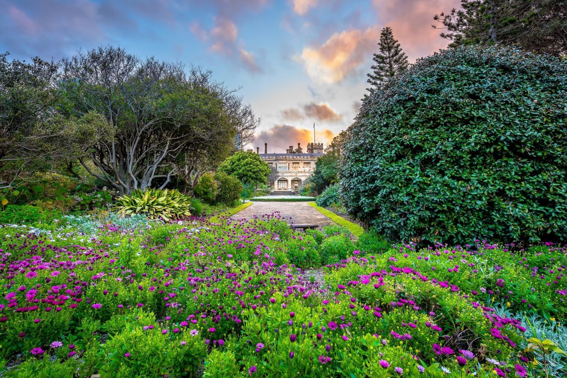 Обои сад, Ботанический сад, природа, растительность, цветок в разрешении 3000x2000